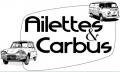 ailette-et-carbus.jpg